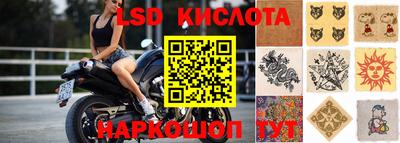 индика Аргун