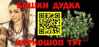 индика Аргун