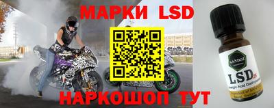 индика Аргун