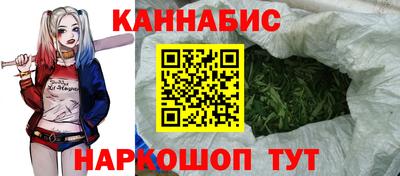 индика Аргун