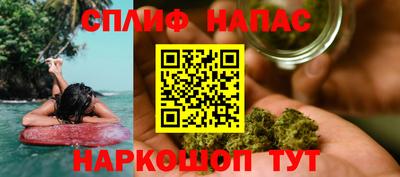 индика Аргун