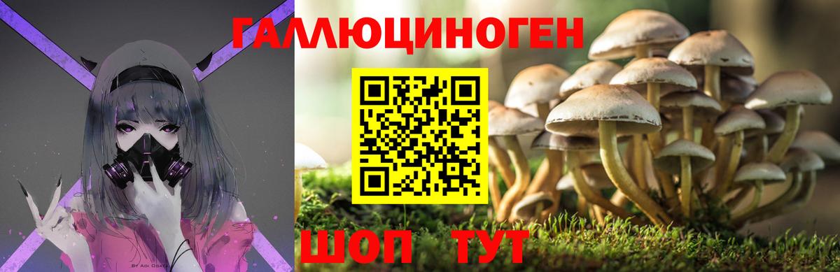 Астрахань  Галлюциногенные грибы GOLDEN TEACHER  Псилоцибиновые грибы Magic Shrooms  Вход с VPN 