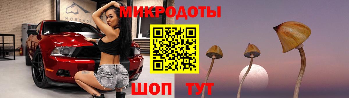 Псилоцибиновые грибы мицелий Астрахань